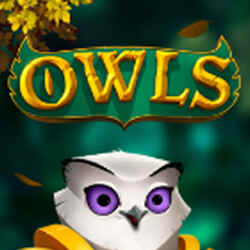Owls