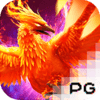 Phoenix Rises