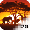 Safari Wilds