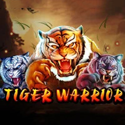 Tiger Warrior